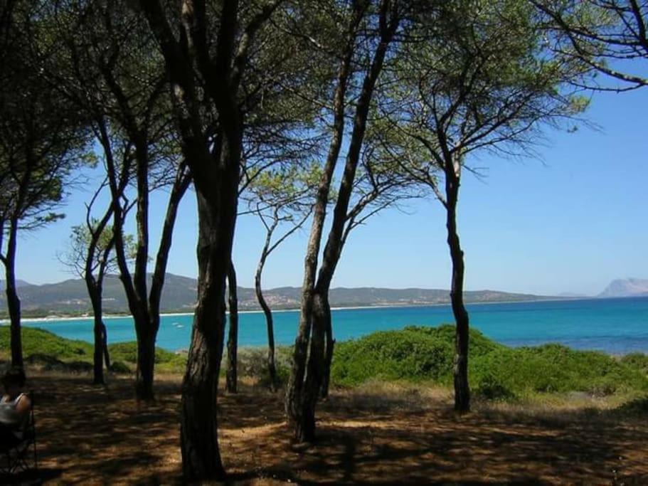 טנאונלה Villa Indipendente Al Mare Budoni מראה חיצוני תמונה
